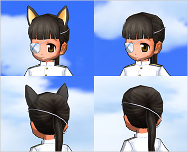Sakamoto Introduction Letter